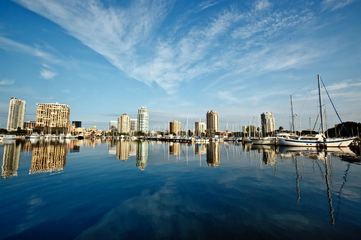 Tampa aus über 50