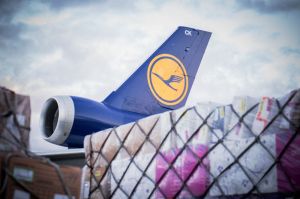 Valentinstag füllt Flugzeuge mit roten Rosen