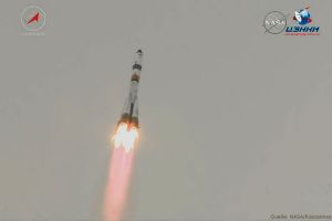 ICARUS: ISS beobachtet Tiere aus dem Weltall