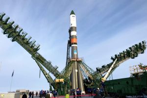 ICARUS: ISS beobachtet Tiere aus dem Weltall