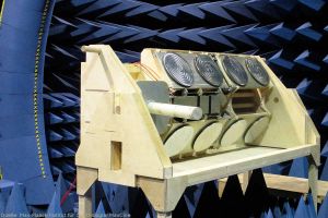 ICARUS: ISS beobachtet Tiere aus dem Weltall