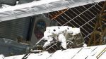 AMS-Detektor sucht nach Antimaterie im All