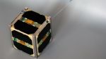 Sojus-Rakete bringt Fische und Mini-Satelliten in den Weltraum
