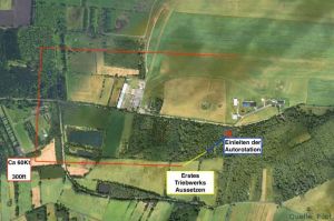 Autorotation: Pilot manövrierte Bell 206 in Wald
