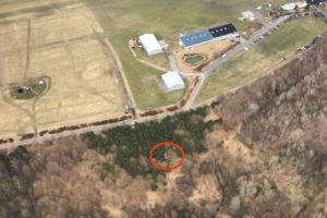 Autorotation: Pilot manövrierte Bell 206 in Wald
