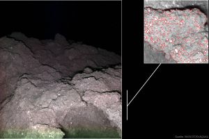 MASCOT auf Ryugu: Vorsicht bei Kollision mit der Erde