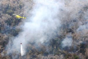 Flug- und Mannstunden zur Feuerbekämpfung in Bolivien