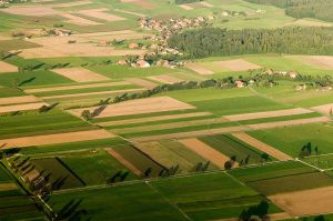 Eurowings: Sonderflüge für Erntehelfer nach Deutschland