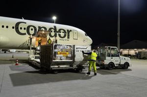 Passagierflugzeuge packen DHL-Pakete