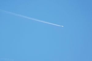 Airlines bieten wieder mehr Sitze auf Flugreisen an