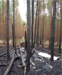 Aquila-Absturz im Wegdrehen nach Start