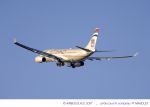 Etihad Airways erweitert Flugzeug-Bestellungen bei Airbus