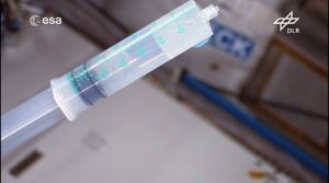 Fliegendes Klassenzimmer Raumstation ISS: Warum Papierflieger nicht abstürzen