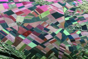 Radarsatelliten erfassen Pflanzenwachstum für Landwirtschaft und Umwelt