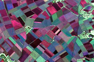 Radarsatelliten erfassen Pflanzenwachstum für Landwirtschaft und Umwelt