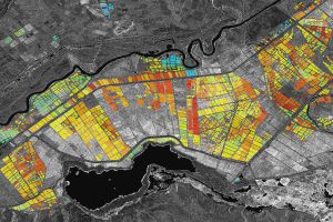 Radarsatelliten messen Pflanzenwachstum – ISRSE-Konferenz