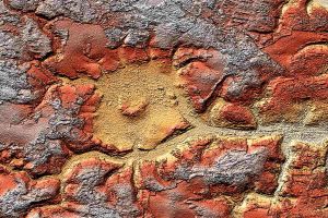 Erde in 3D aus Radardaten lässt Meteoriten-Krater erkennen