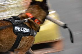Themenführung am FMO: Flughafenzoll präsentiert sich