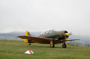 Aero-Club feiert Flugtag in Göttschied
