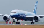 Boeing zum Grounding des 787 Dreamliners