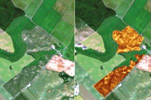 Erneuerbare Energien besser skalieren dank Satellitendaten