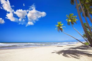 Condor nimmt Bahamas ins Visier