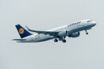 Großauftrag für Airbus: Über 100 Flugzeuge für die Lufthansa